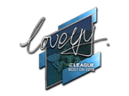 LoveYY | Boston 2018 image